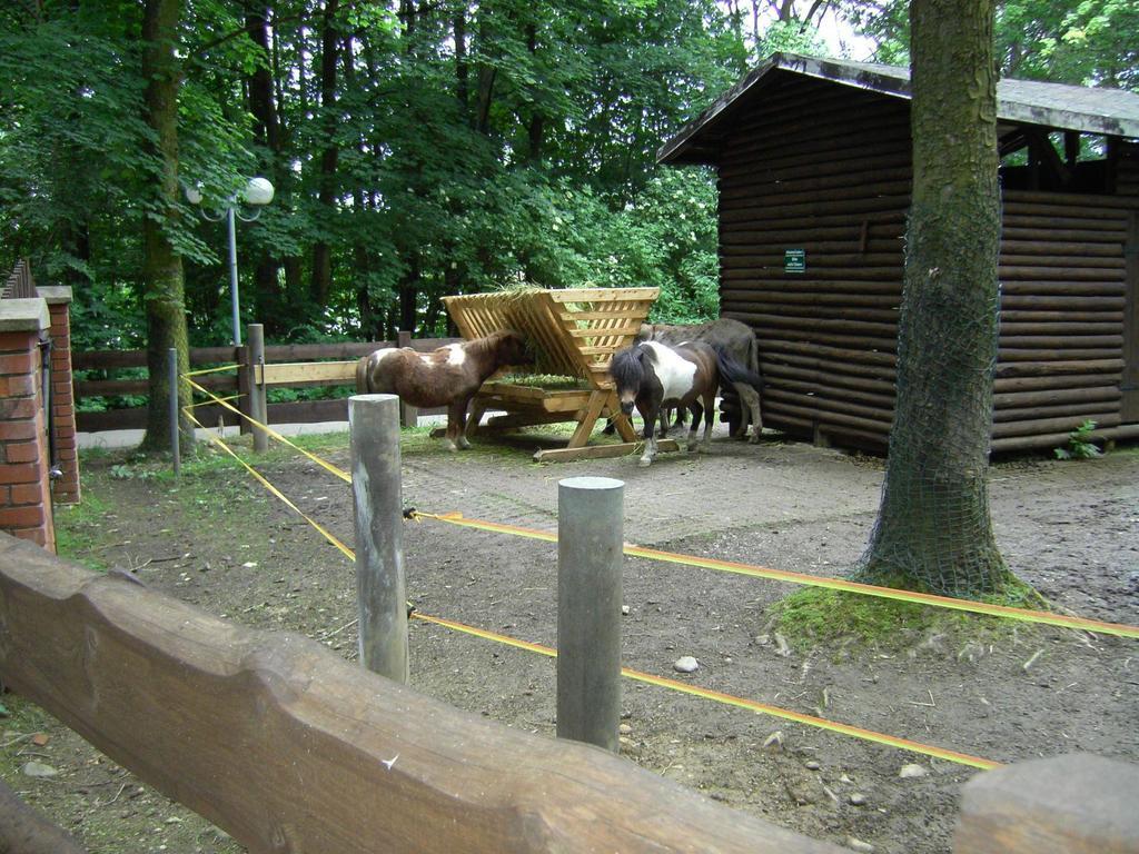 Rothers-Ferienwohnung Annaberg-Buchholz Zewnętrze zdjęcie